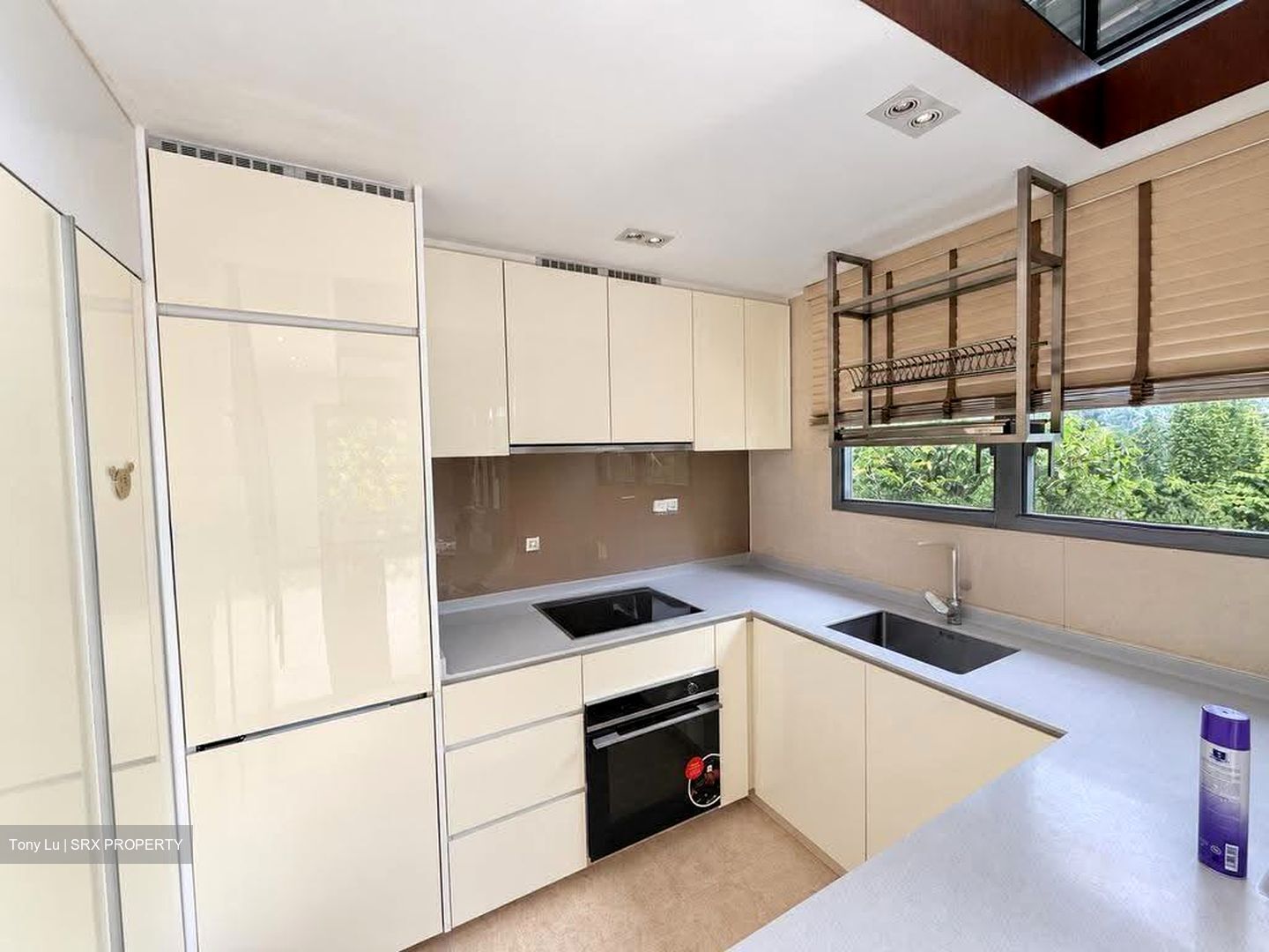 Mon Jervois (D10), Condominium #629733341